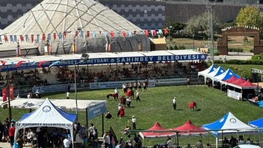 M2hudmo93ueo apaojmtfa.jpg